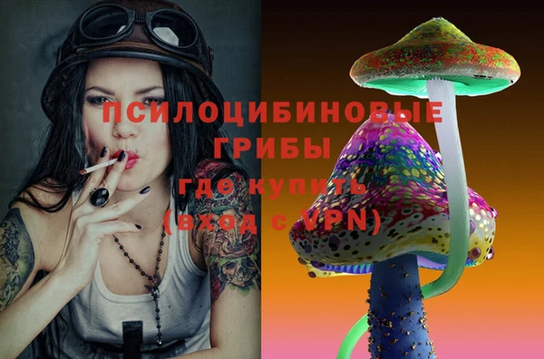 mix Арсеньев