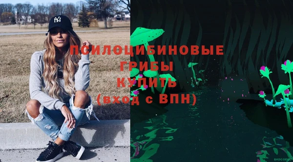 дживик Аркадак