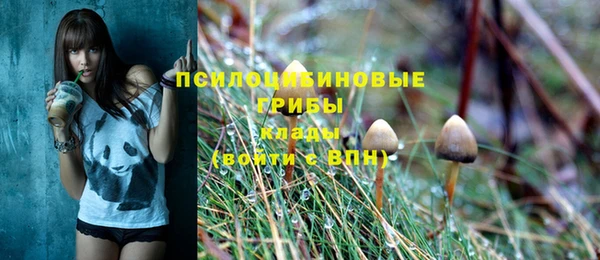дживик Аркадак