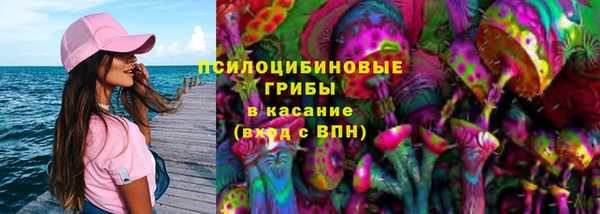 дживик Аркадак