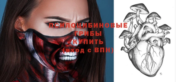 дживик Аркадак