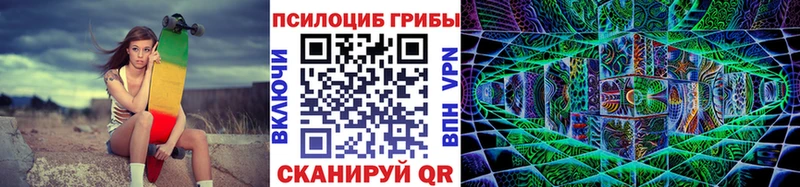 Галлюциногенные грибы Magic Shrooms  цена   Дорогобуж 
